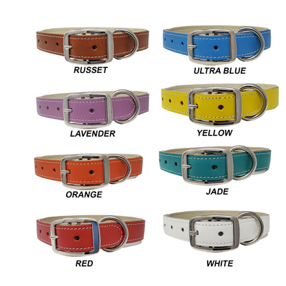 1" Premium Designer Latigo Leather Dog Collar with Soft Liner-Large Dogs