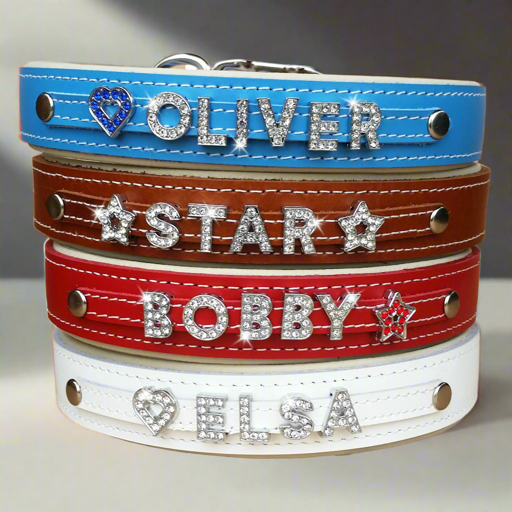 Premium Padded Leather Dog Collars for Large Breeds – Personalized Style