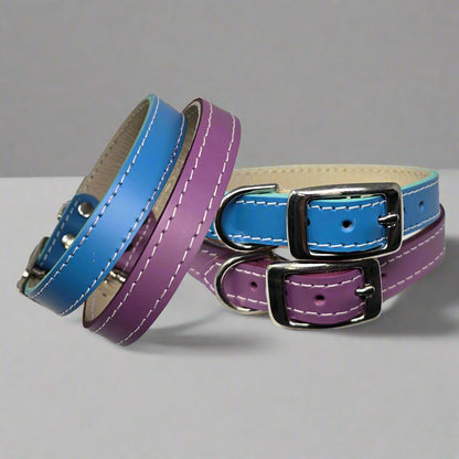 5/8" Designer Latigo Leather Collar for Small Dogs -Bright Colors