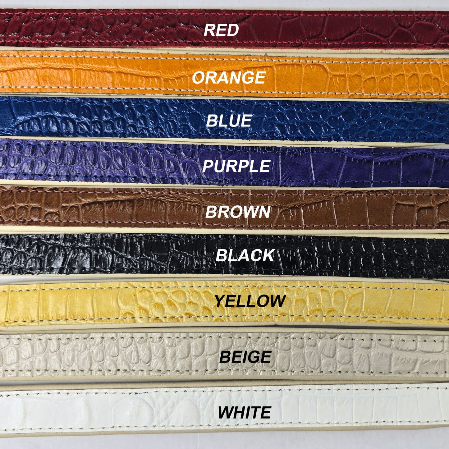 3/4" Croc Leather Dog Collar with Soft Padded Liner for Medium Dogs