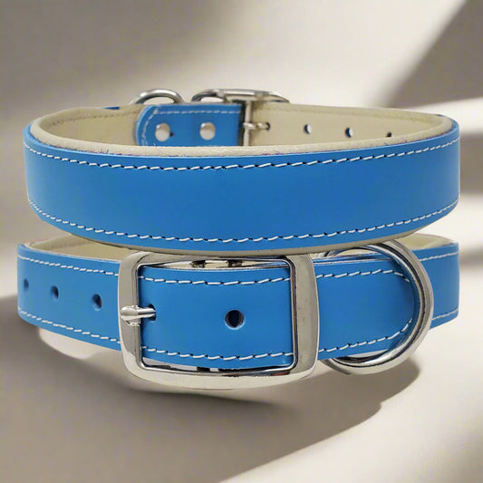 Large Soft-padded leather dog collar designed for large dogs, ensuring comfort and reducing neck pressure.