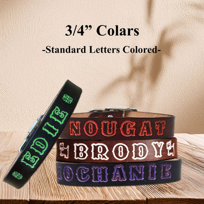 Close-up of a medium leather dog collars with a hand-stamped name and colored lettering, available in multiple colors.