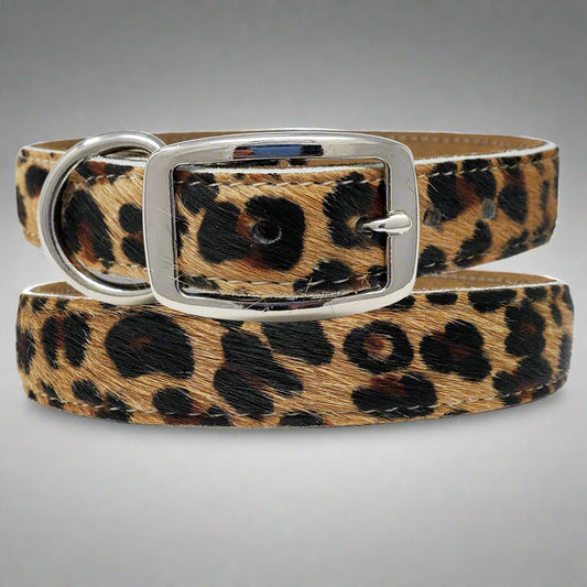 Large Dog Collar Made from Hair-On Leopard Print Cowhide Leather – Stylish and Durable