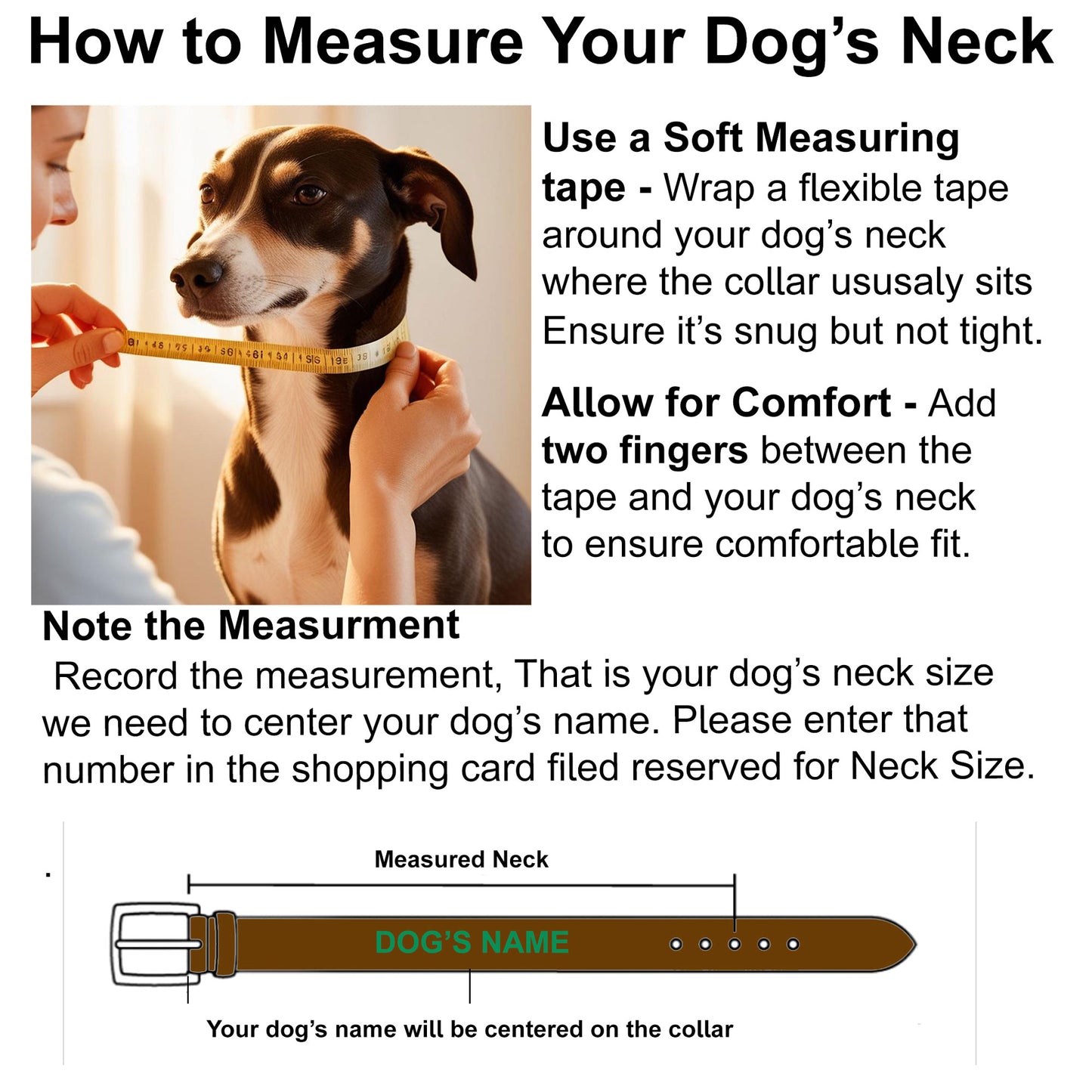 Dog-neck-measuring-instructions-for-personalized-collars