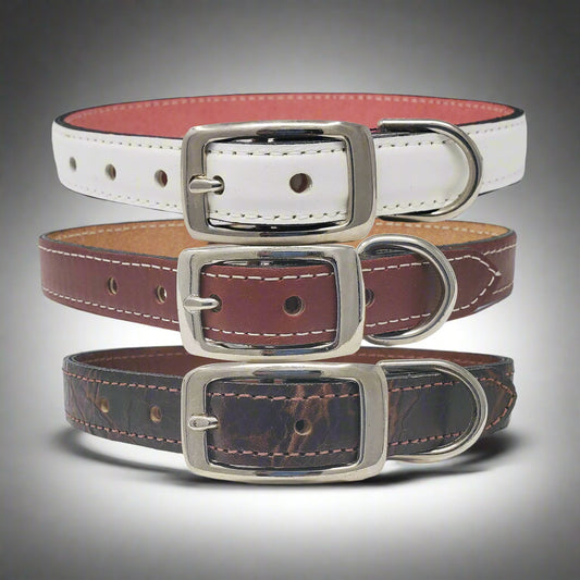 3/4" Comfortable Leather Dog Collars - Perfect for Medium Dog Breeds