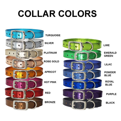 3/4" Leather Dog Collars for Medium Dog Breeds – Personalized with Name