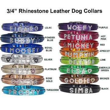 rhinestone names leather collar medium