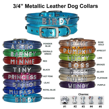 personalized leather dog collars medium