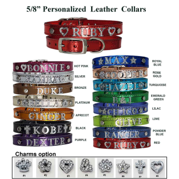 small leather dog collars personalized